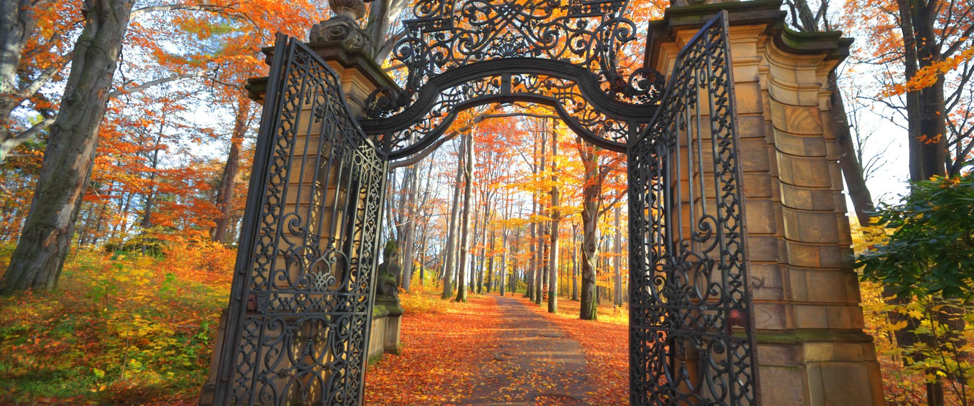 Plb17 pont l’abbé d’arnoult